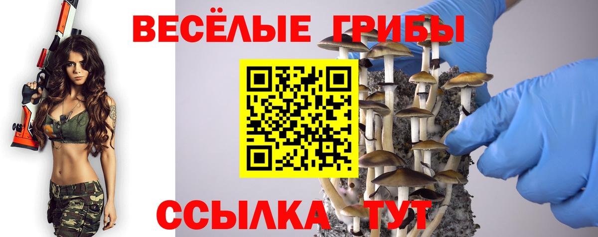 Галлюциногенные грибы Psilocybe Новороссийск